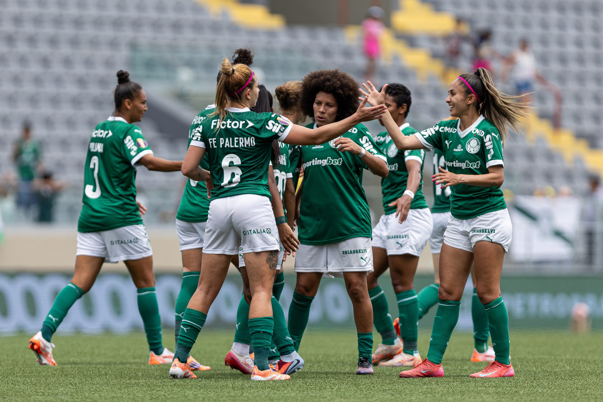 Palmeira no Paulistão Feminino 2025